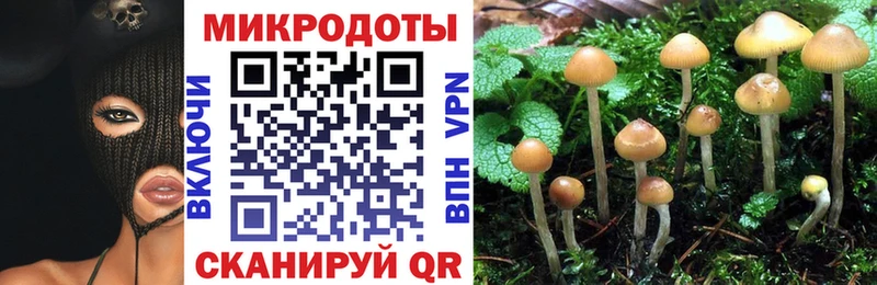 Галлюциногенные грибы Psilocybe  МЕГА ONION  Невель  наркотики 
